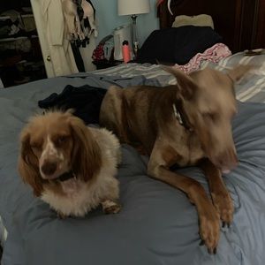 Meet your Posher, Margaret